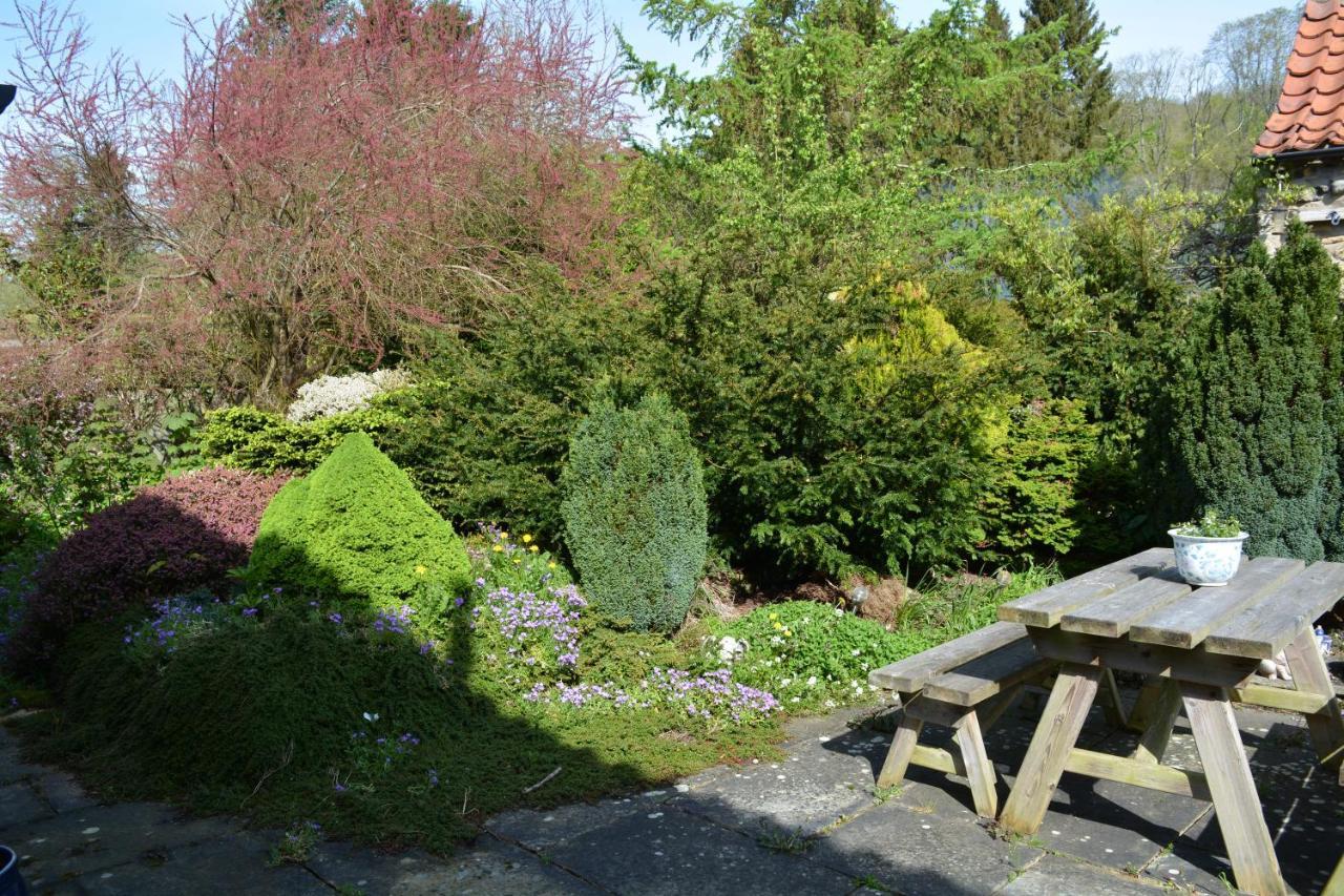 Bohemianbreezebreaks Bed & Breakfast Thornton Dale Bagian luar foto